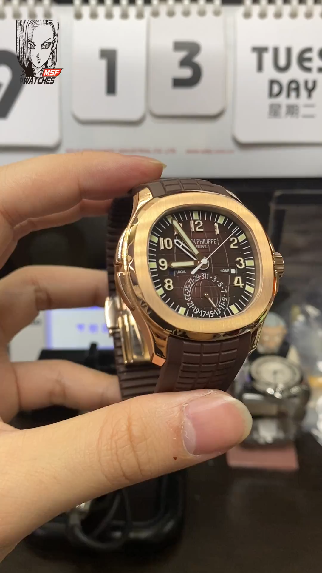 Patek Philippe Aquanaut Travel Time series 5164R-001, brown dial, GMT Dual Time Function, 40.8mm size.